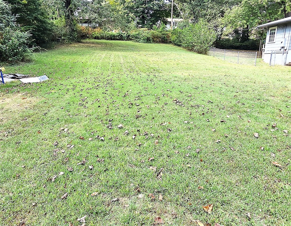 Image 22