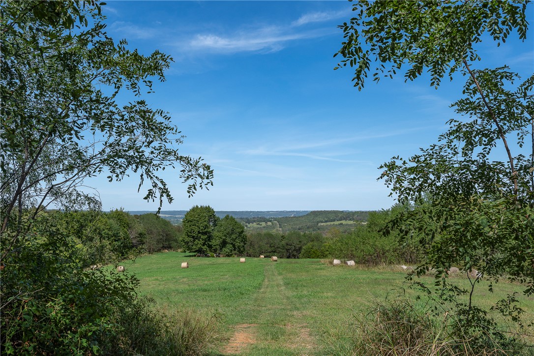 Image 51