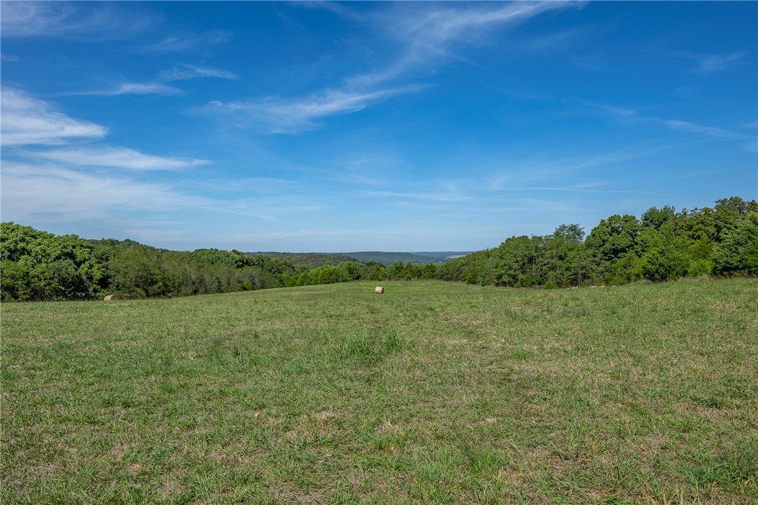 Image 50