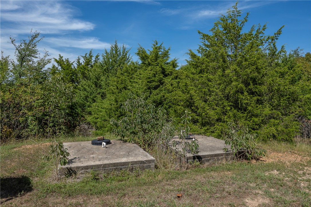 Image 54