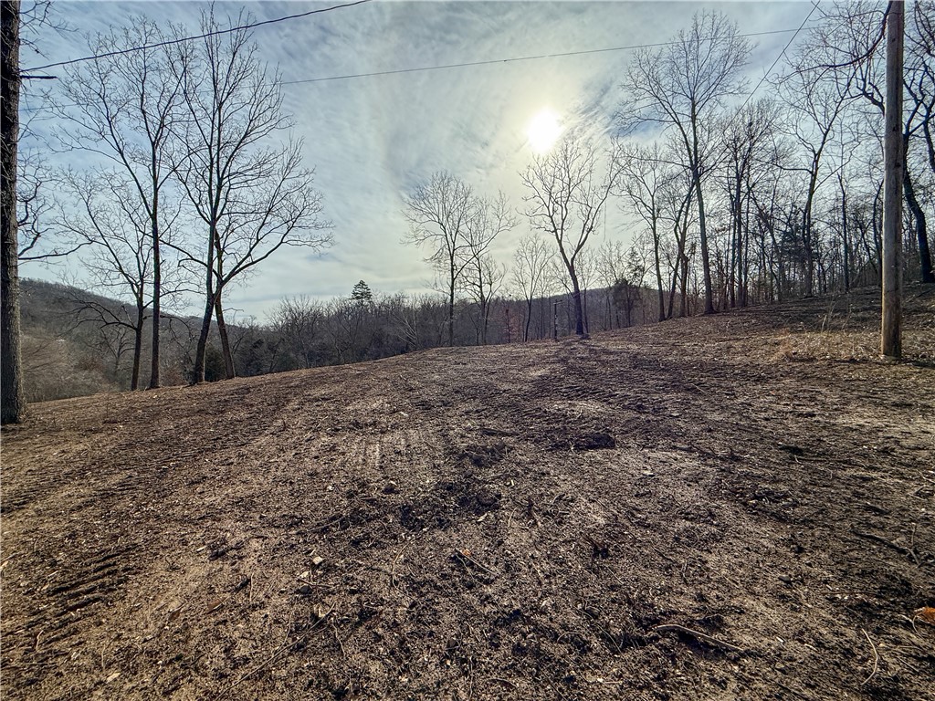 Image 33