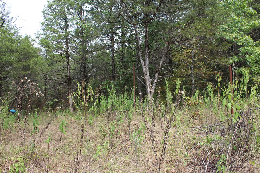 Image 11