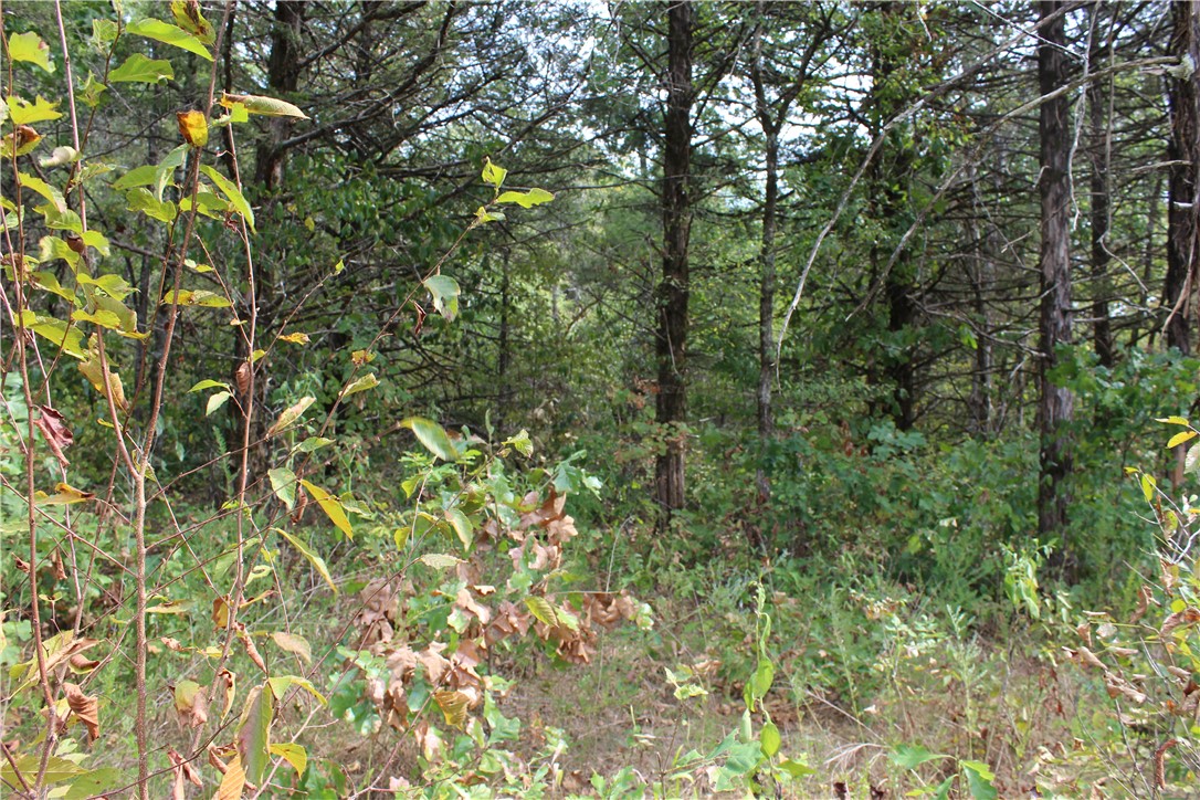 Image 12