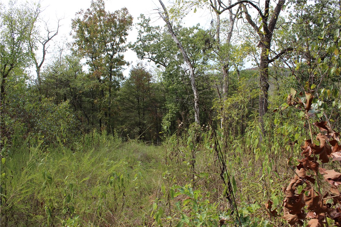 Image 13