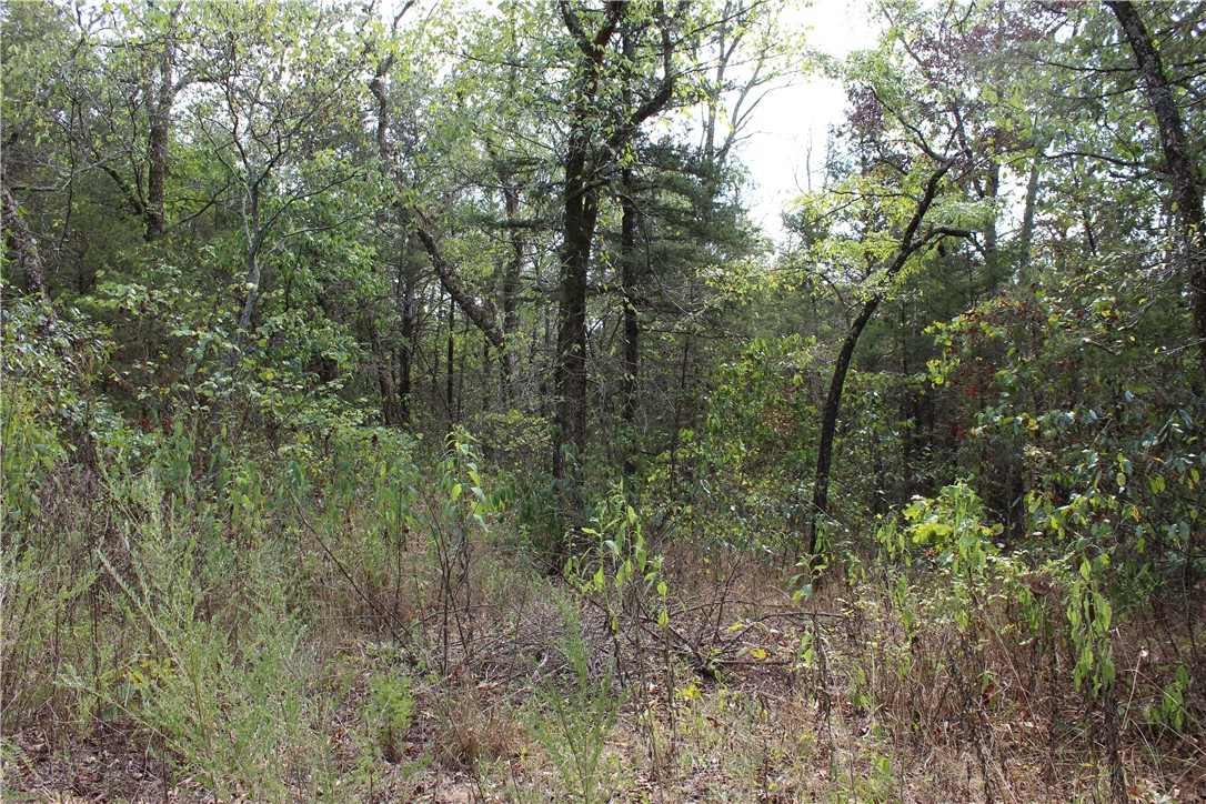 Image 14
