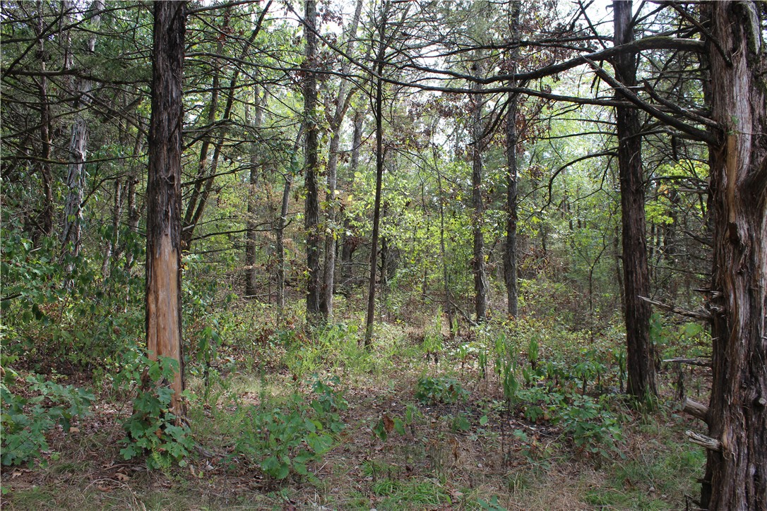 Image 15