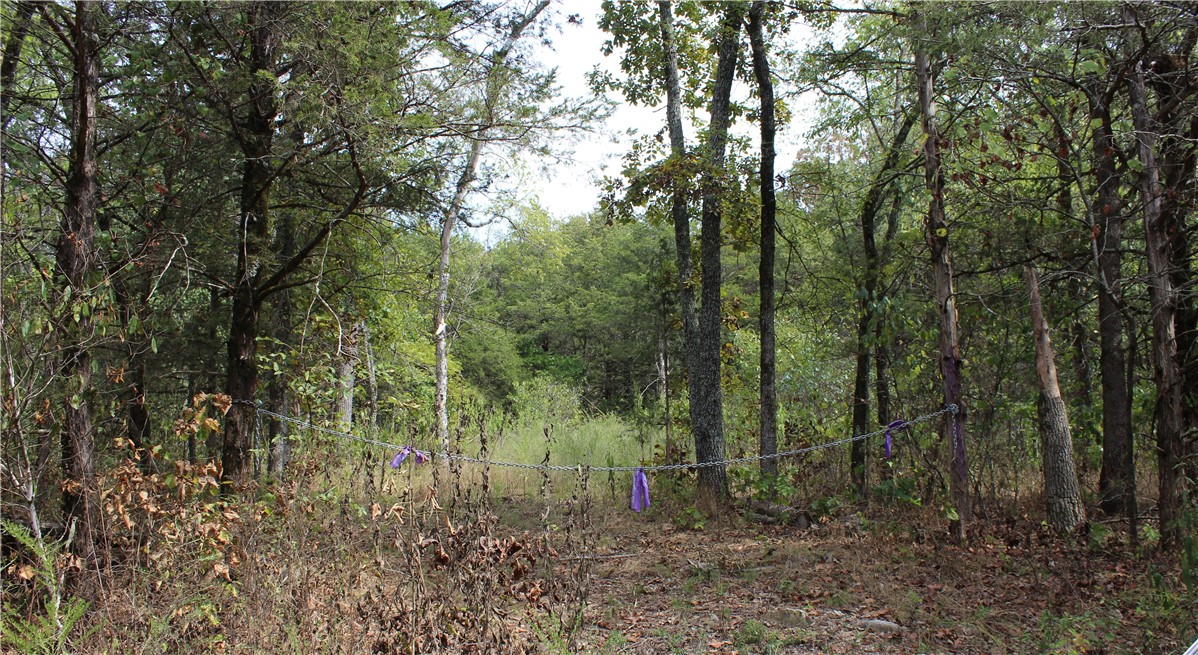Image 19