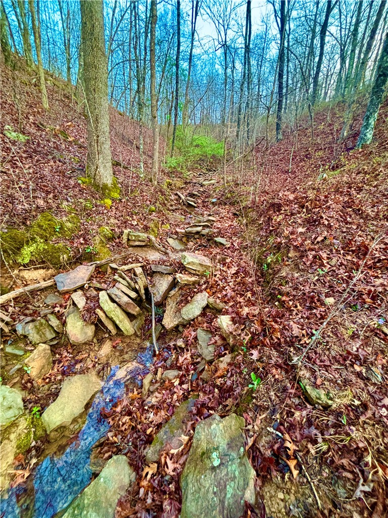 Image 15