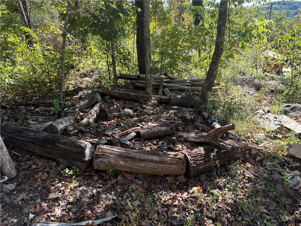 Image 12