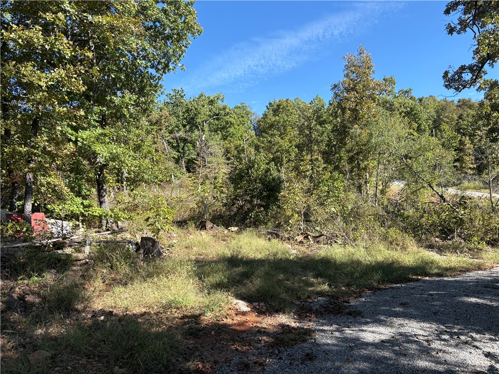 Image 13
