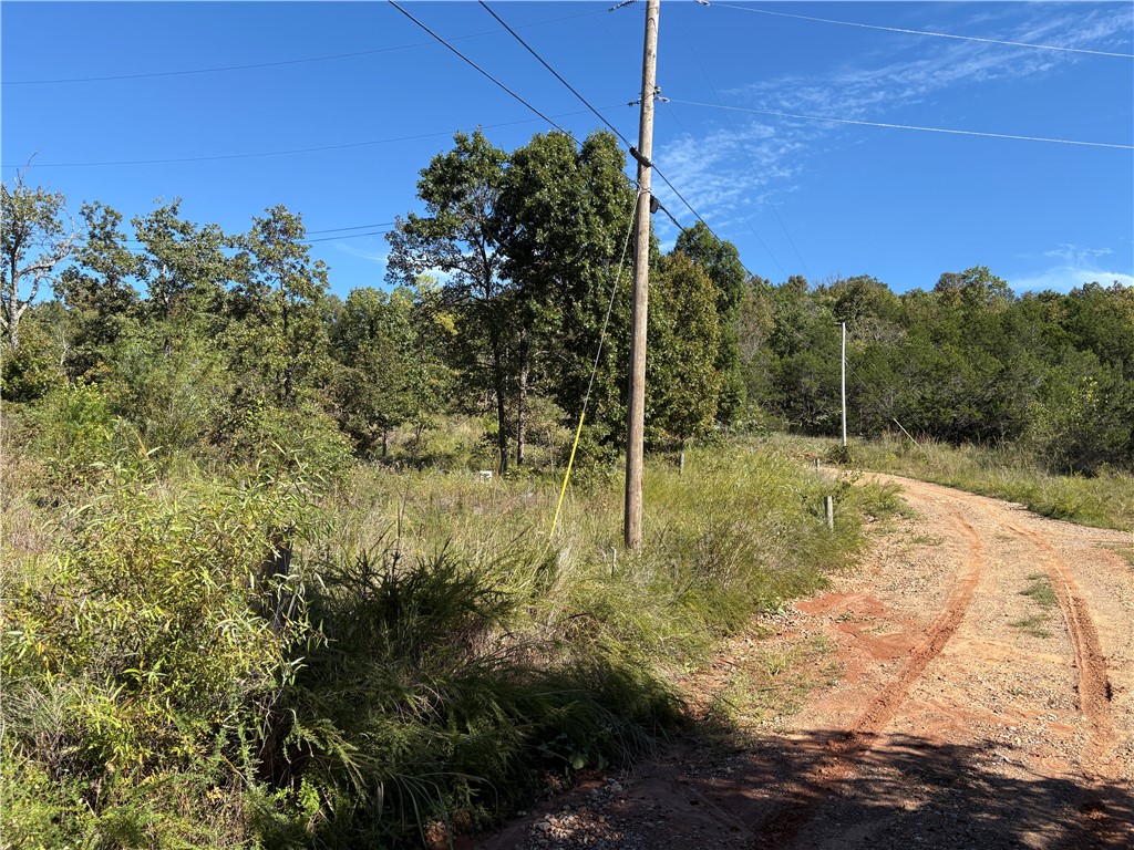 Image 8
