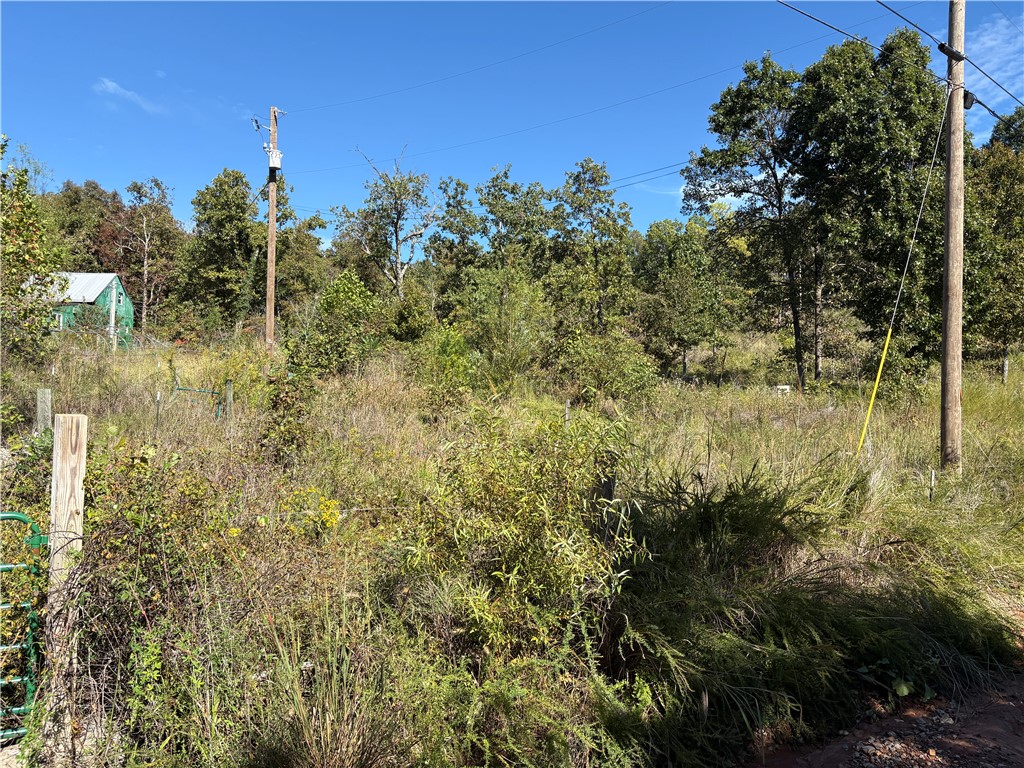 Image 9
