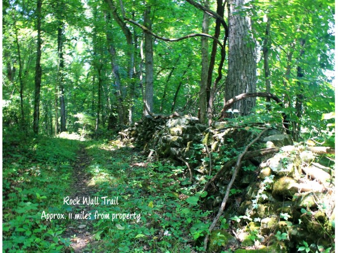 Image 31