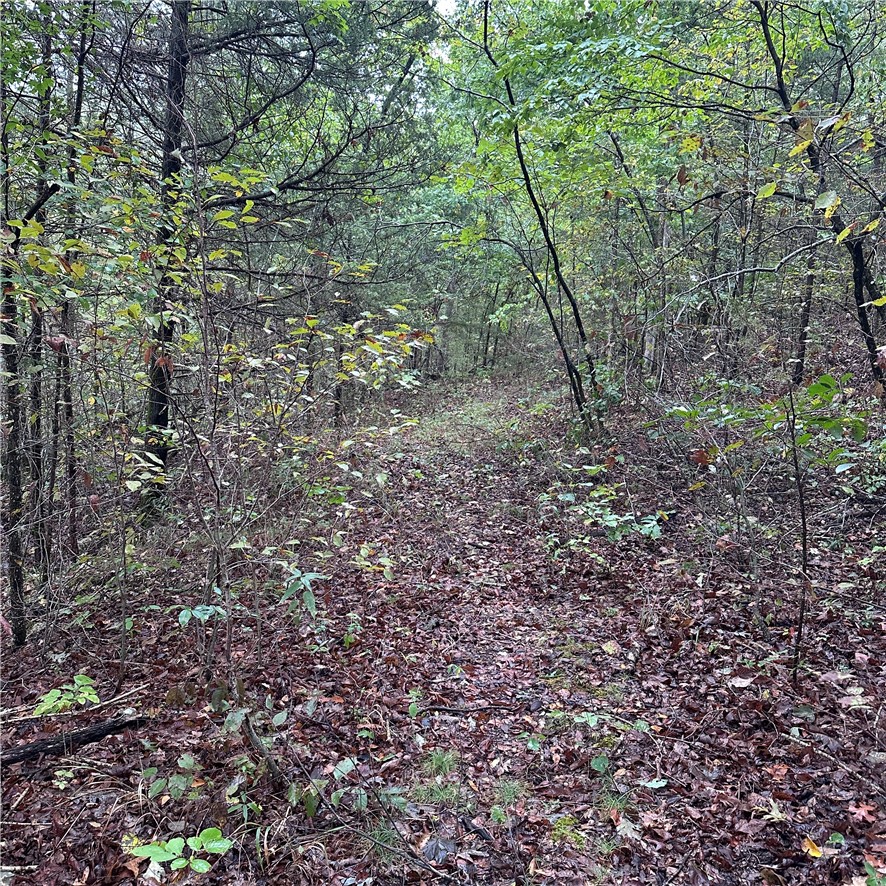 Image 13
