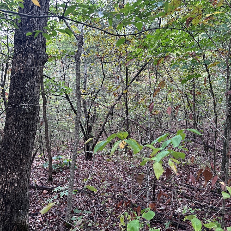 Image 14