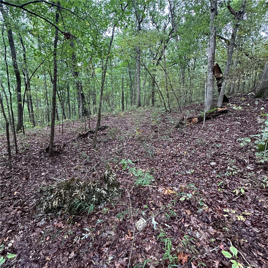 Image 15