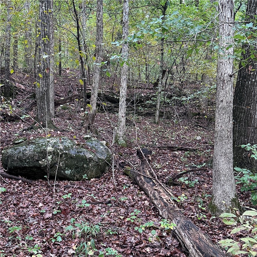 Image 18
