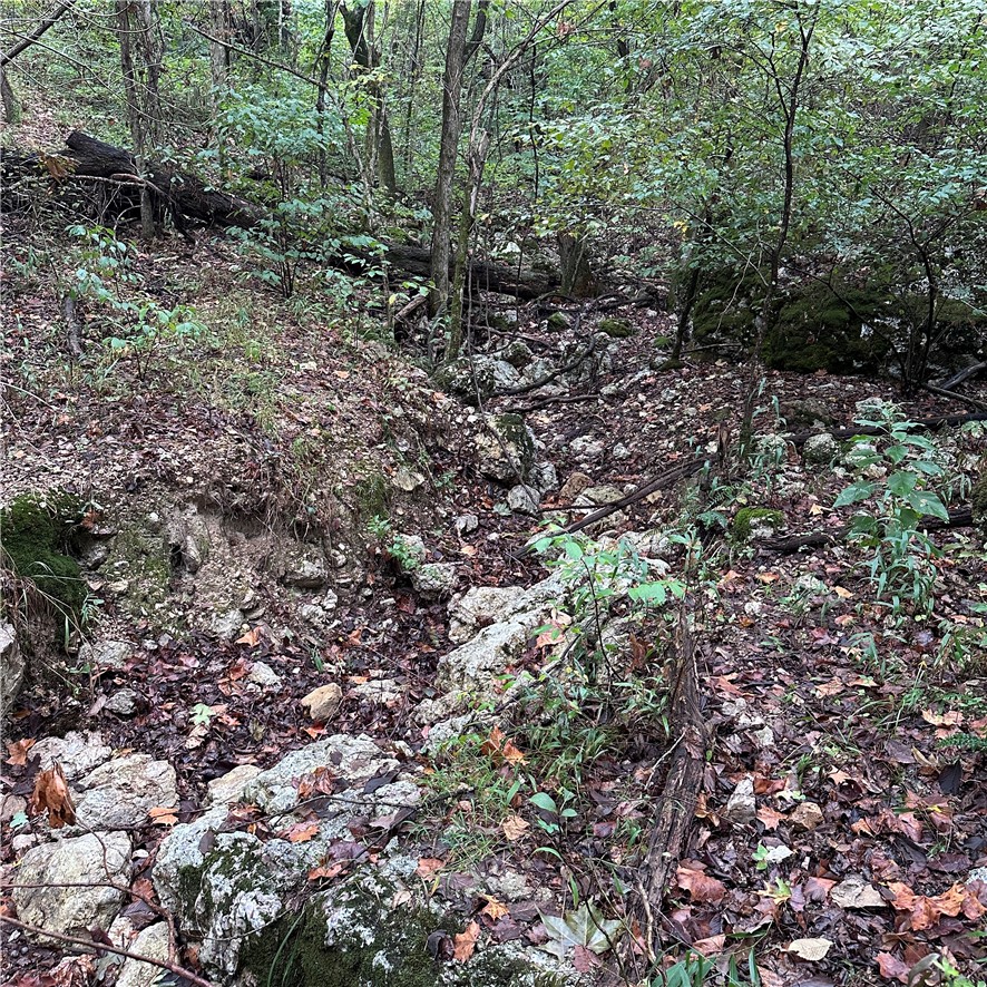 Image 19