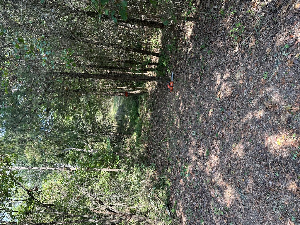 Image 21
