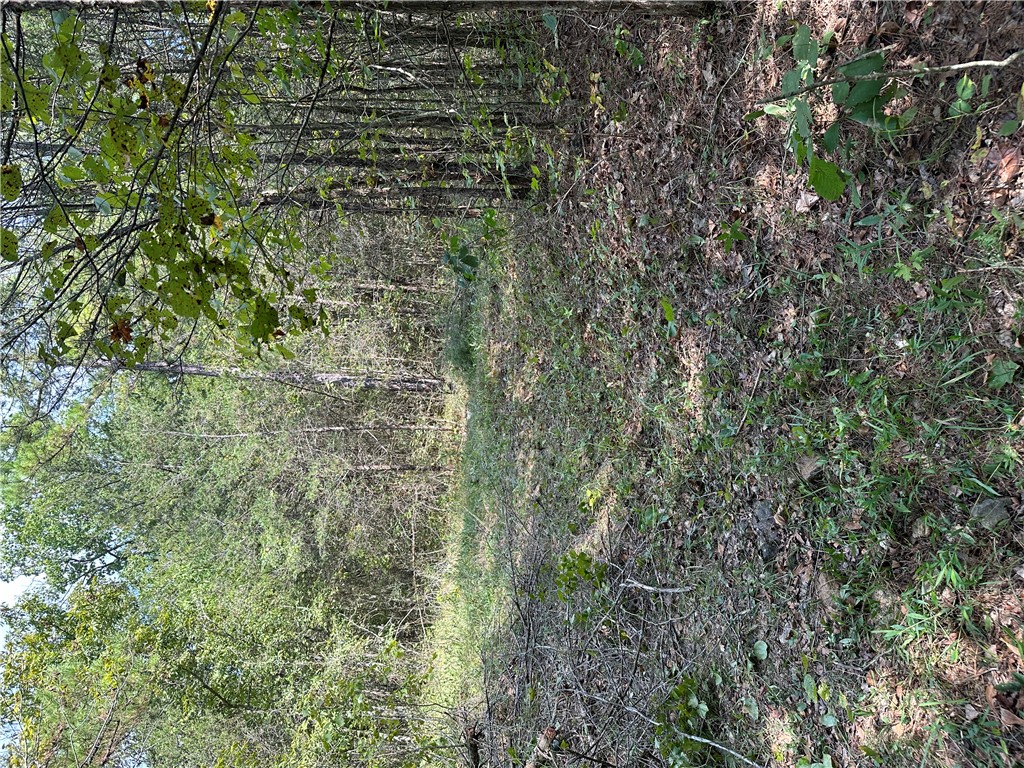 Image 23