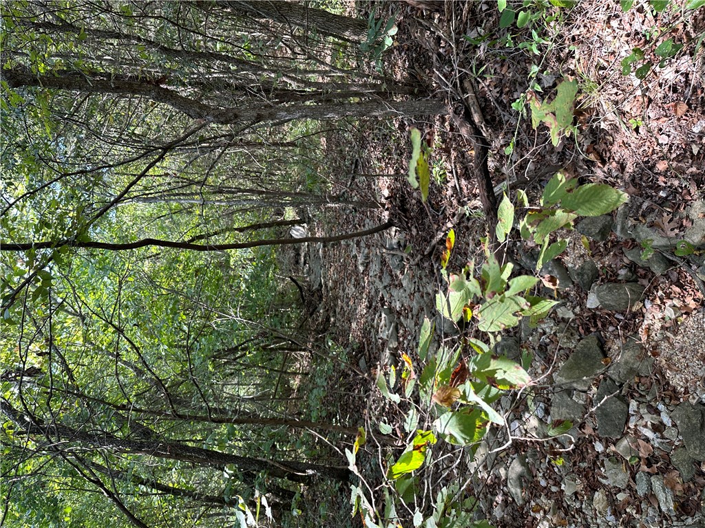 Image 24