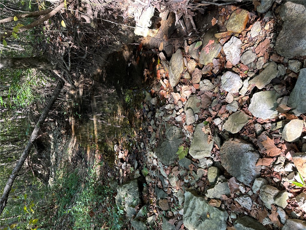 Image 25
