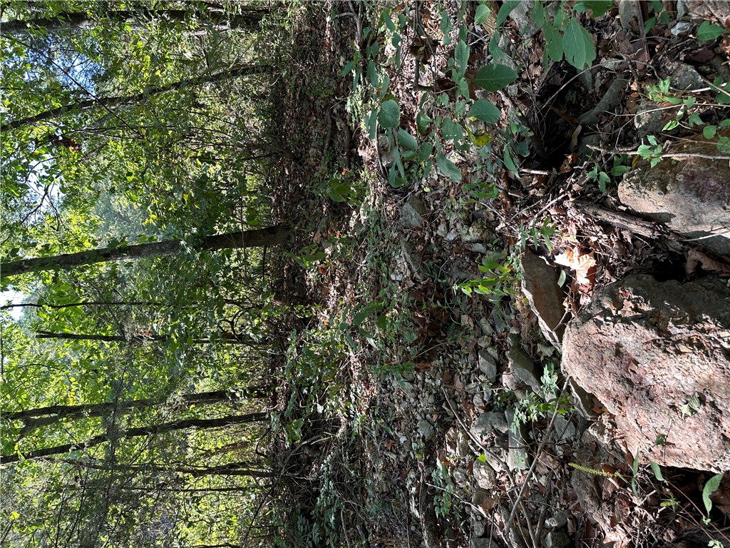 Image 26