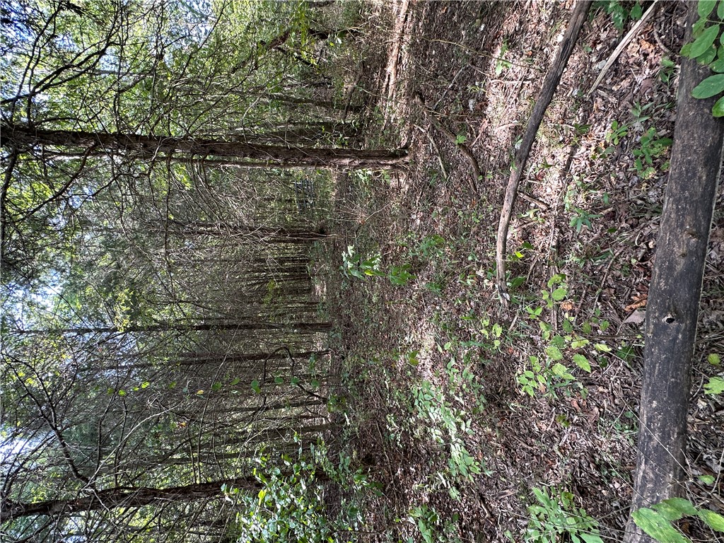 Image 29