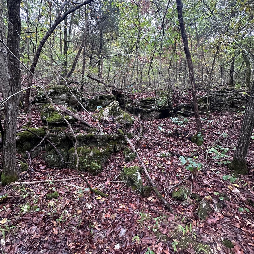 Image 9