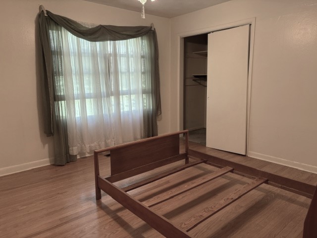 Image 21