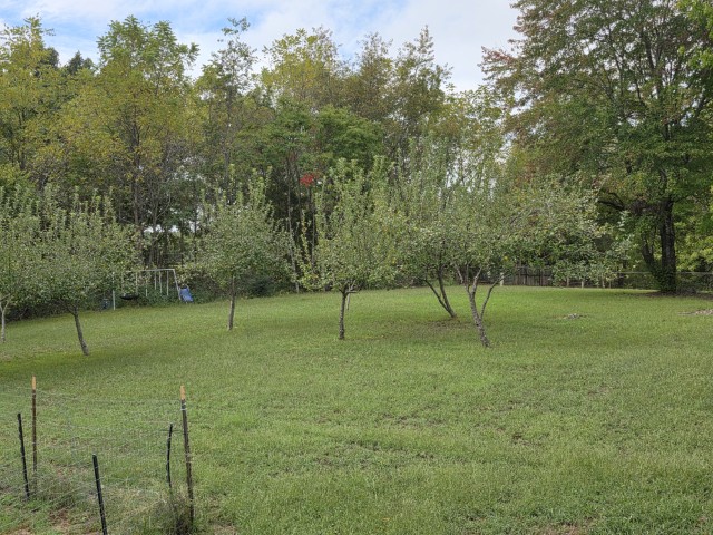 Image 24