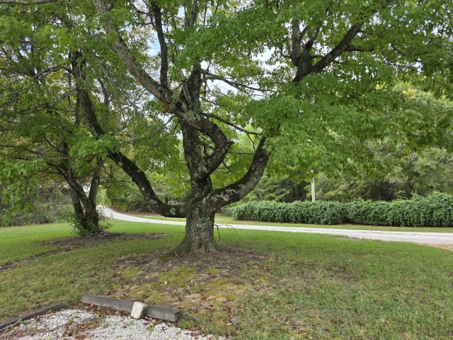 Image 30