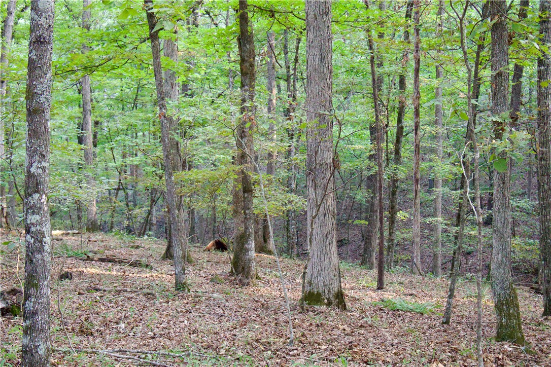 Image 30