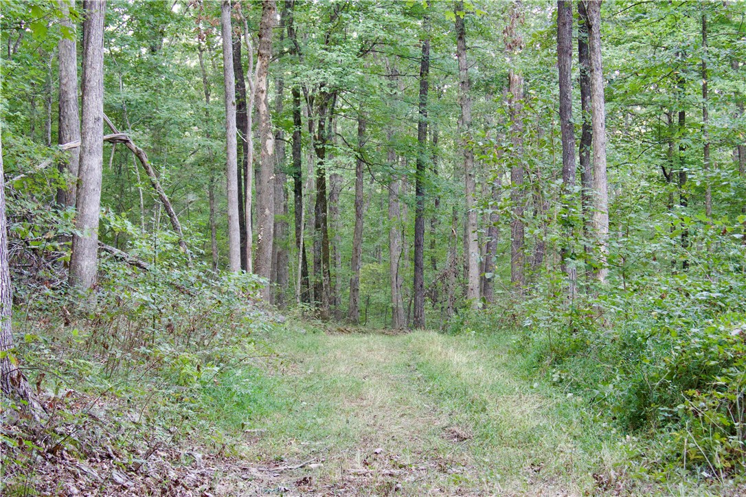Image 36