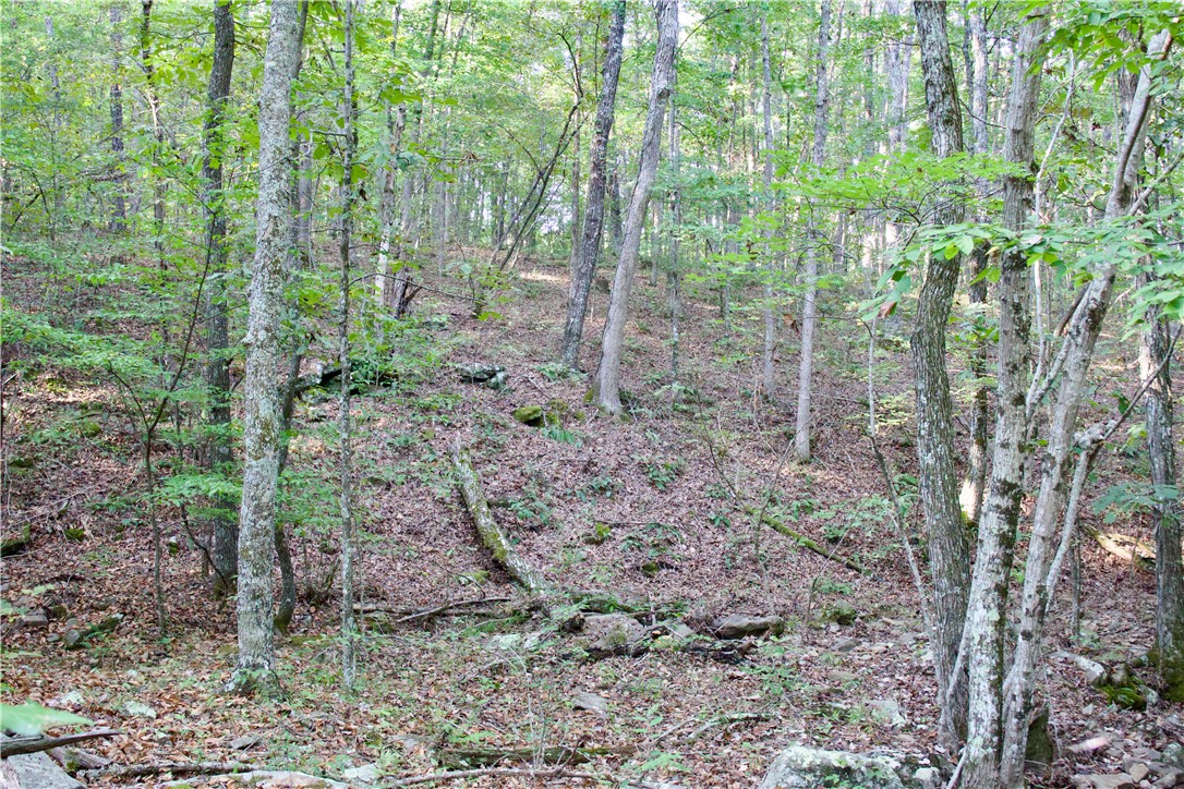 Image 42