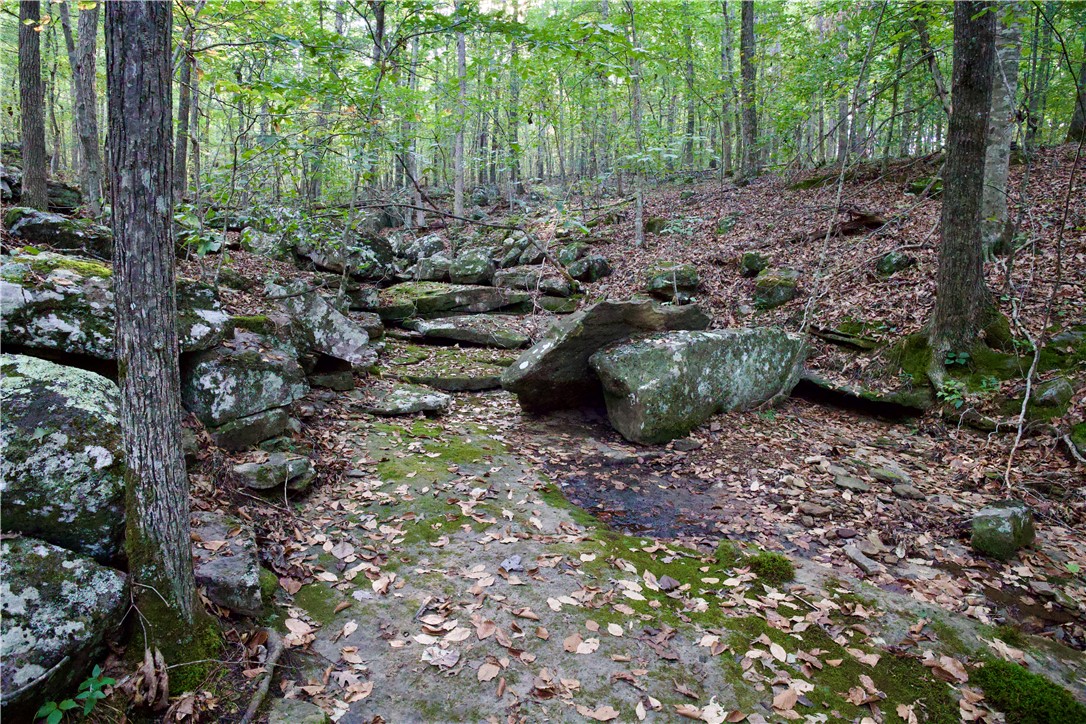 Image 43