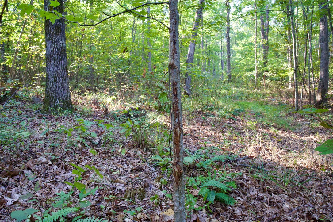 Image 45