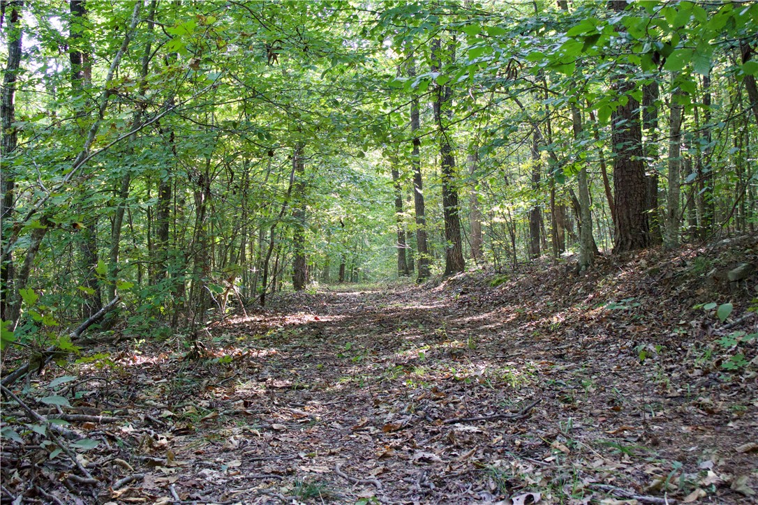 Image 47