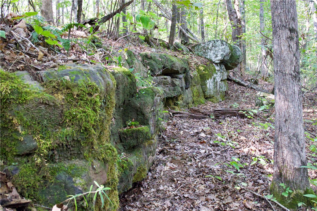 Image 51
