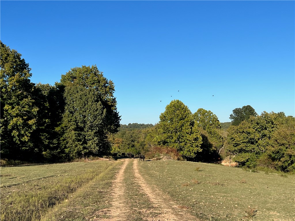 Image 18