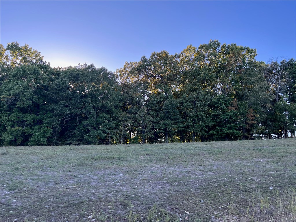 Image 21
