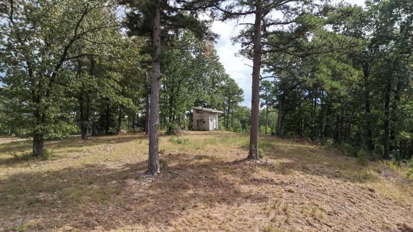 Image 41