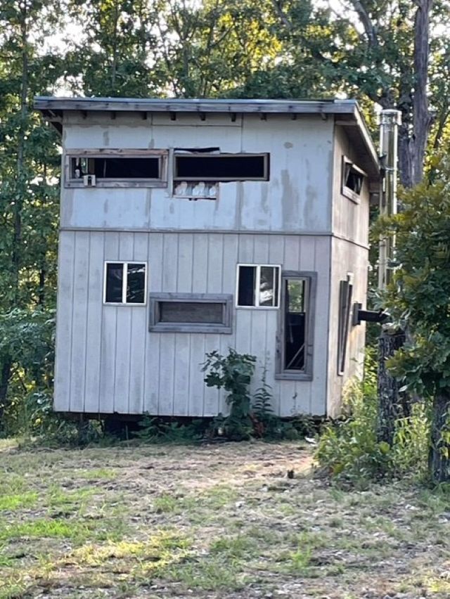 Image 8