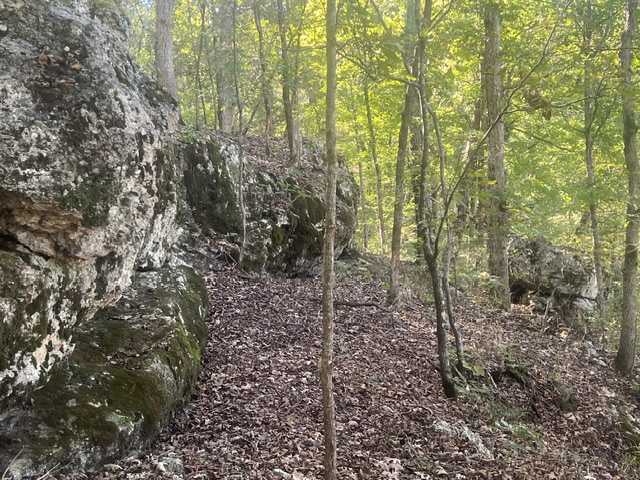 Image 10