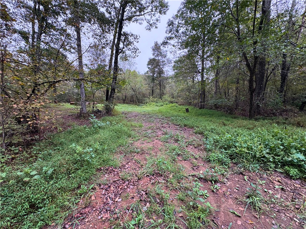 Image 12