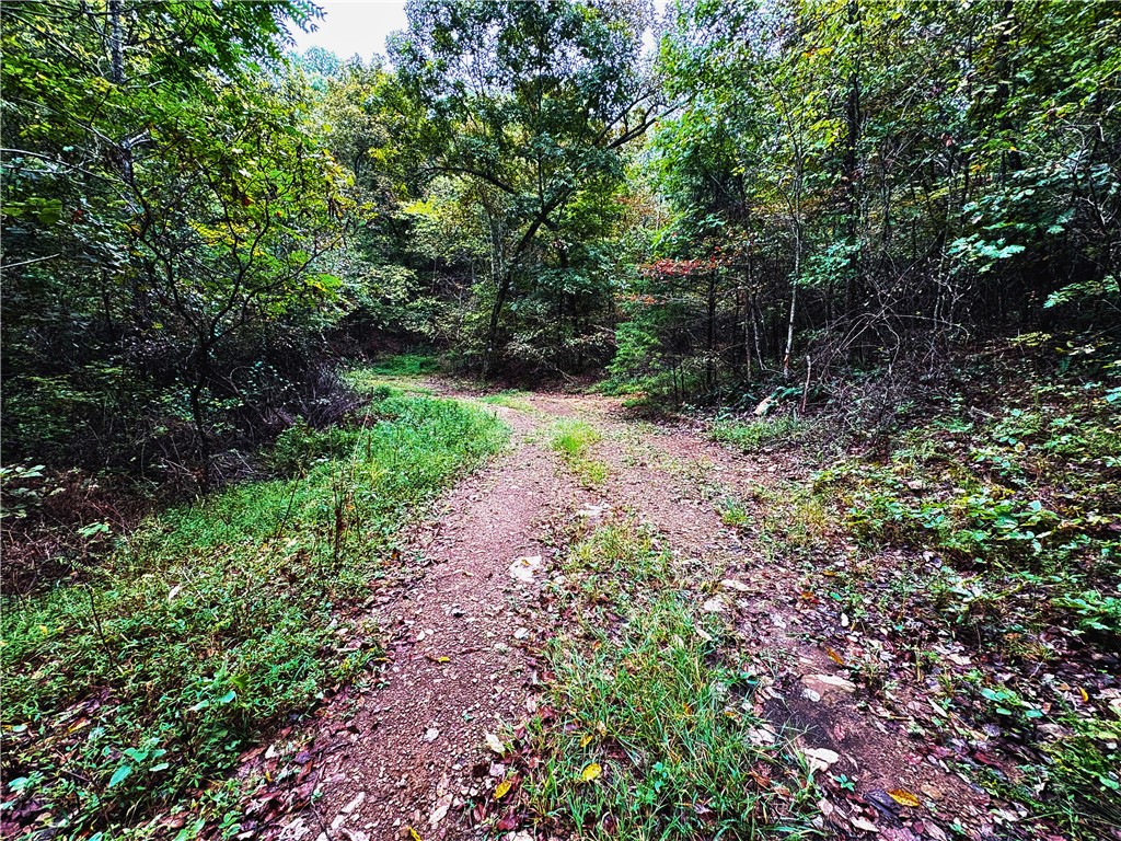 Image 13