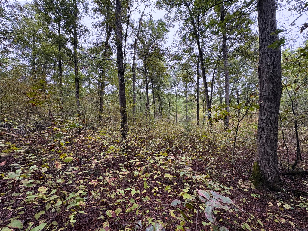 Image 15