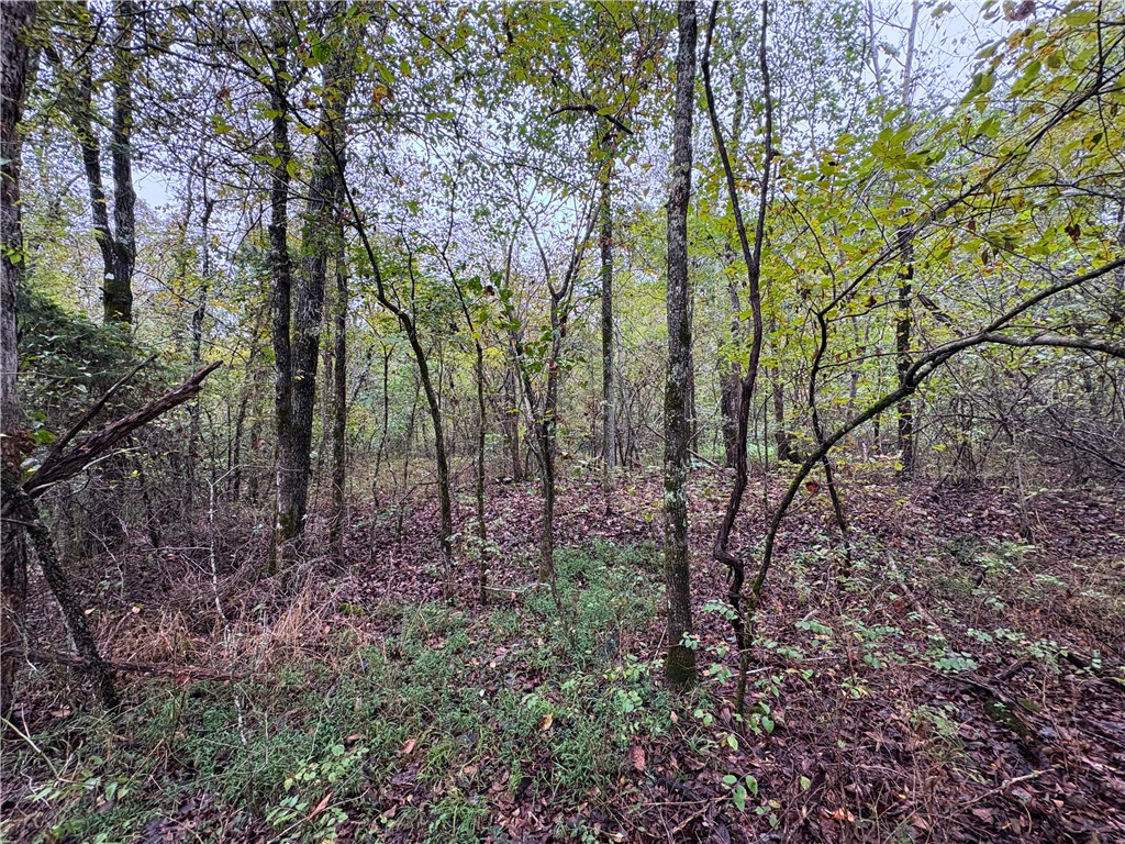 Image 19