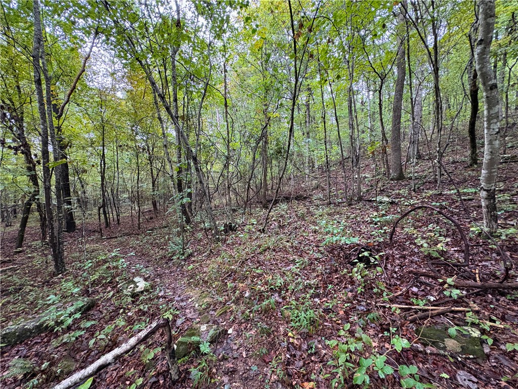 Image 33