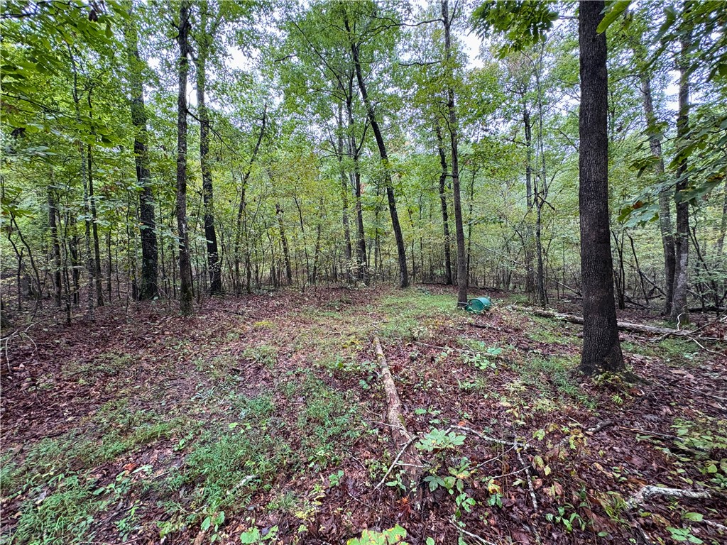 Image 49